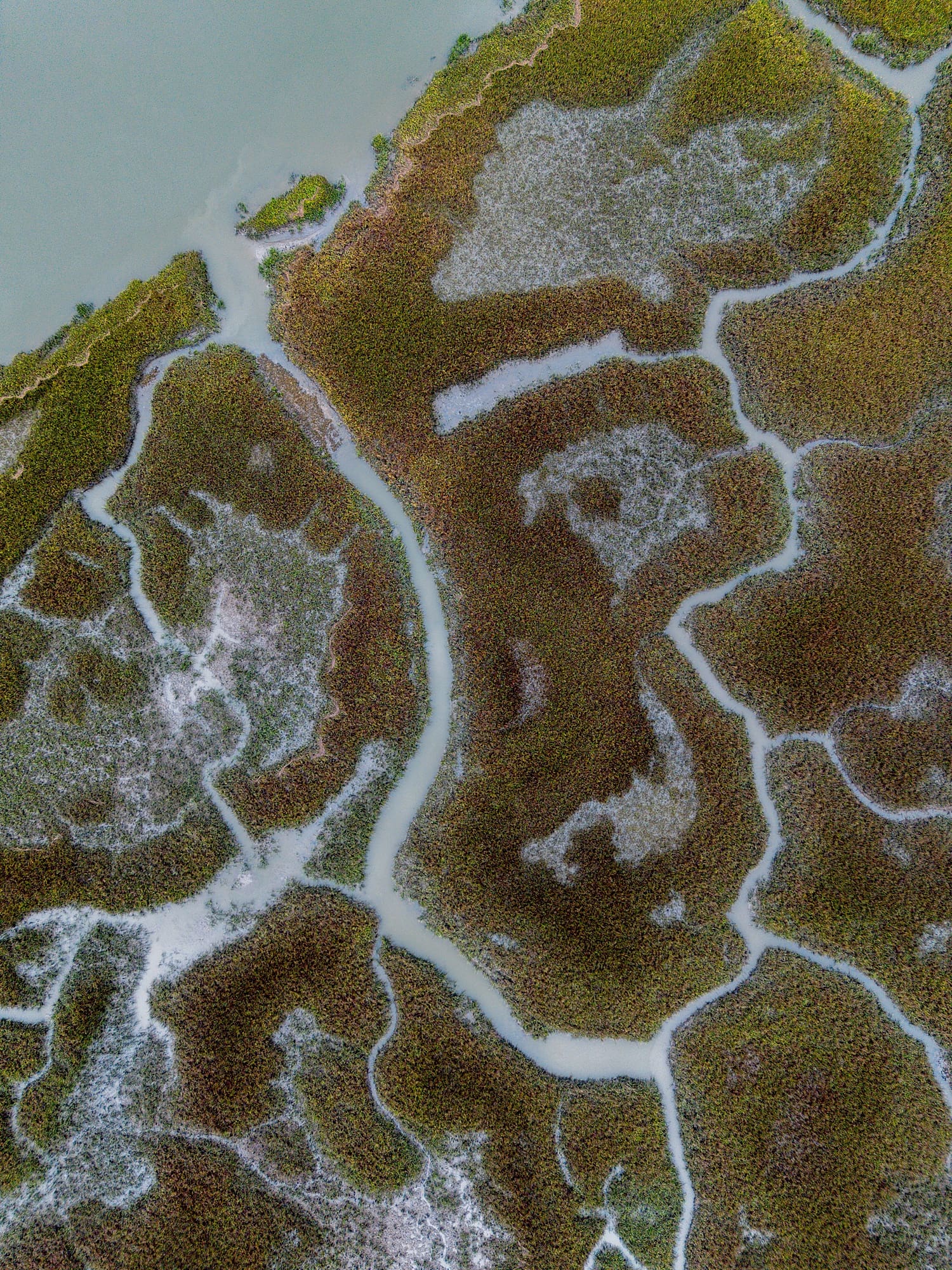 Drone photo of the marshes of Amelia Island