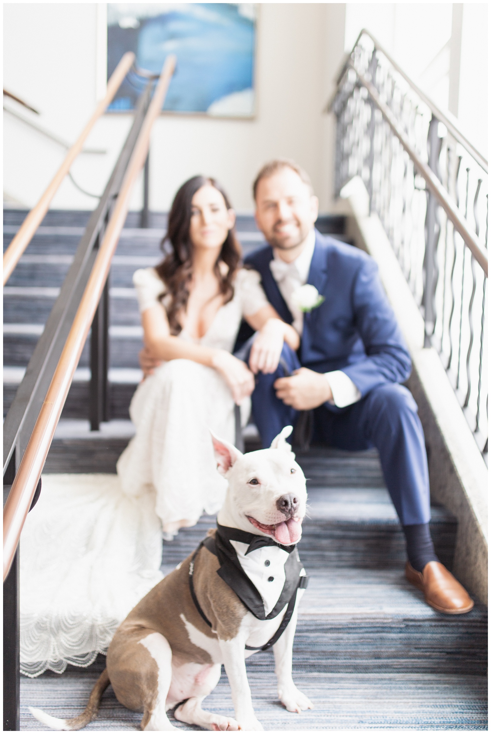 Bride and groom with dog | Matlock and Kelly Photography