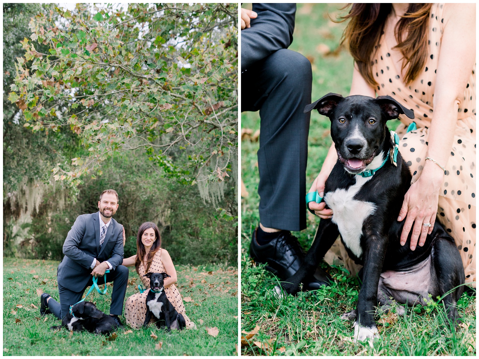 Philippe Park Legacy Session - Matlock and Kelly Photography