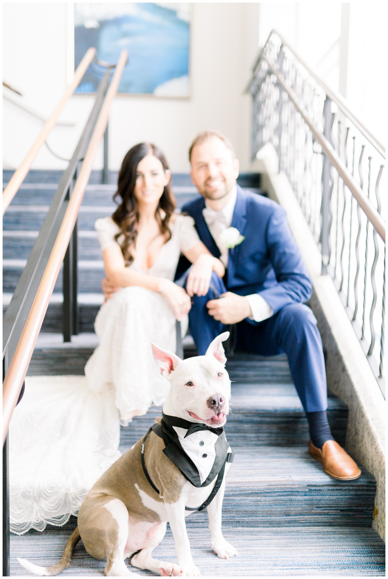 7 ways to include your pet in your wedding ceremony