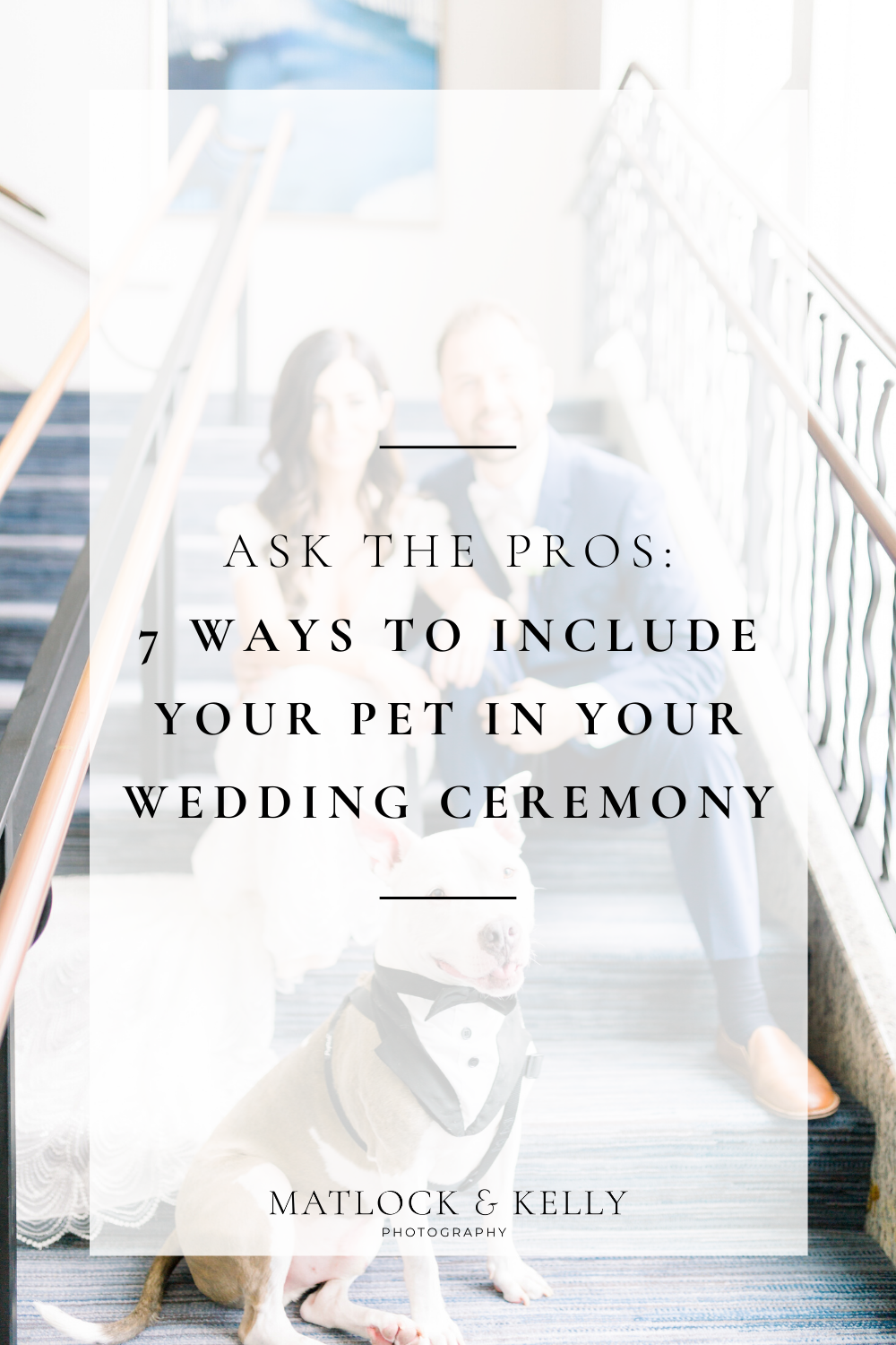 7 ways you can include your pet in your wedding ceremony!!