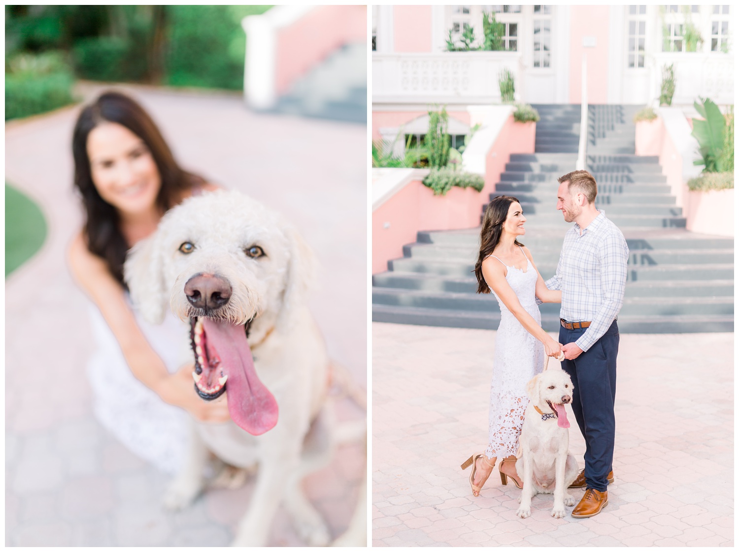 The Don Cesar Engagement with dogs