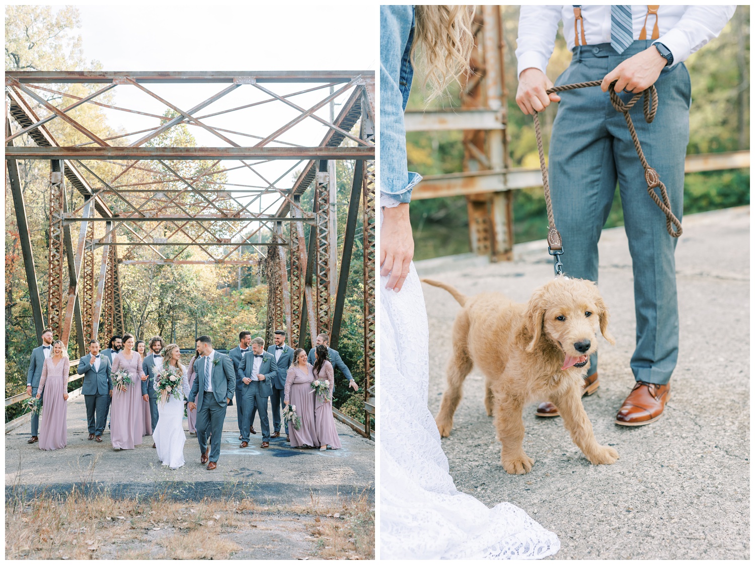 Bridal party in Illinois wedding with puppy
