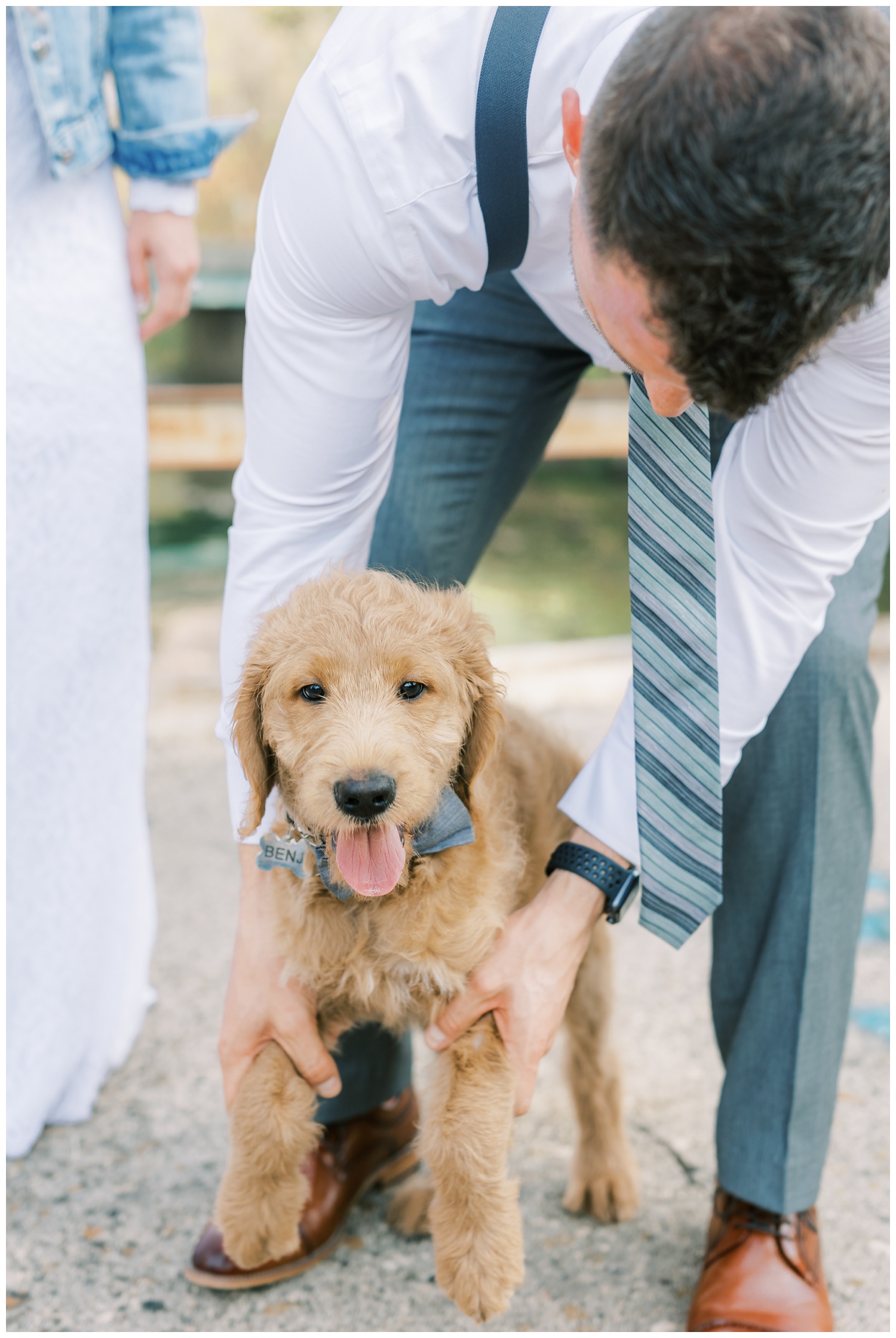 Puppy at wedding in Illinois