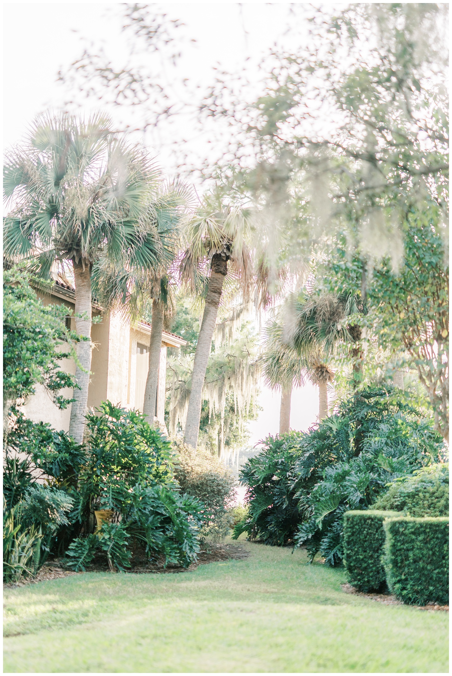 Garden in Orlando Florida